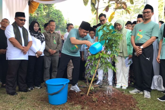 Ministry partakes in planting 50,600 trees at Islamic schools